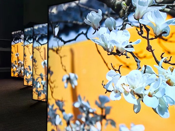 看华为智慧屏V5 MAX 110如何破解黑电应用场景困局 看华为智慧屏V5 MAX 110如何破解黑电应用场景困局