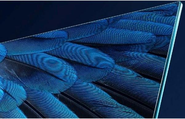 创维电视“美出新境”新品沟通会在京举办