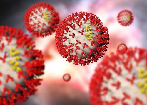 中科院武汉病毒所筛出能较好抑制新型冠状病毒药物 中科院武汉病毒所筛出能较好抑制新型冠状病毒药物