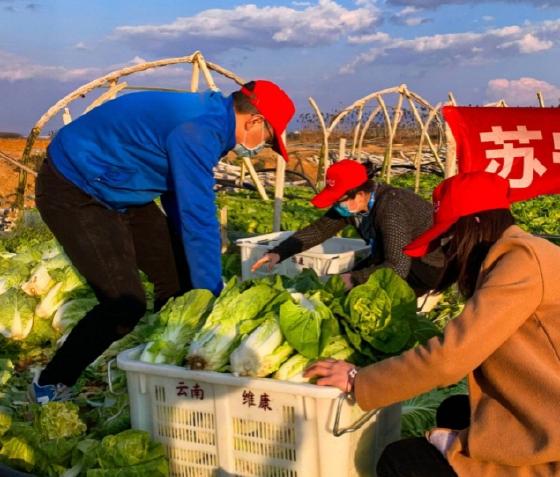 响应国家号召:苏宁紧急筹措蔬菜、口罩等保障一线 响应国家号召:苏宁紧急筹措蔬菜、口罩等保障一线