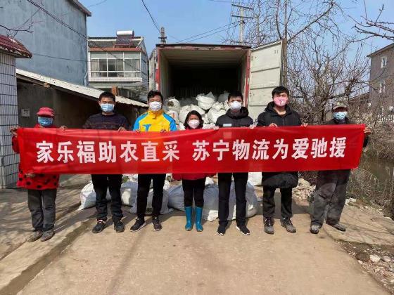 苏宁拼购助农18条来了!绿色通道、物流五折最醒目 苏宁拼购助农18条来了!绿色通道、物流五折最醒目