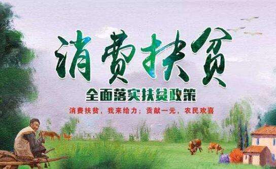 明星线上消费扶贫 60多吨兰州百合被抢购一空 明星线上消费扶贫 60多吨兰州百合被抢购一空