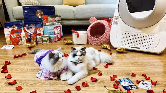 跨境电商综试区再添新军 46个城市地区获批 跨境电商综试区再添新军 46个城市地区获批