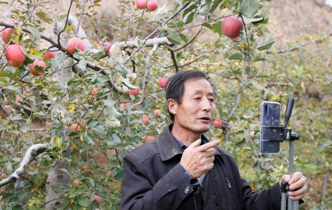 阿里推出“脱贫春雷计划”,2019年贫困县在阿里平台网络销售额近千亿 阿里推出“脱贫春雷计划”,2019年贫困县在阿里平台网络销售额近千亿