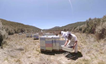 考拉海购成全球工厂复工第一站，共赴天猫618打响“回血之战”