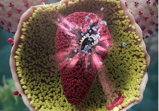 吉利德研发出新HIV候选治疗药物 吉利德研发出新HIV候选治疗药物