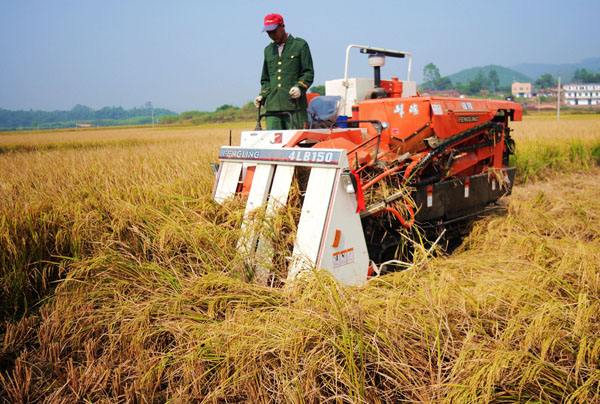 智能引领 粮食生产实现高效高产 智能引领 粮食生产实现高效高产