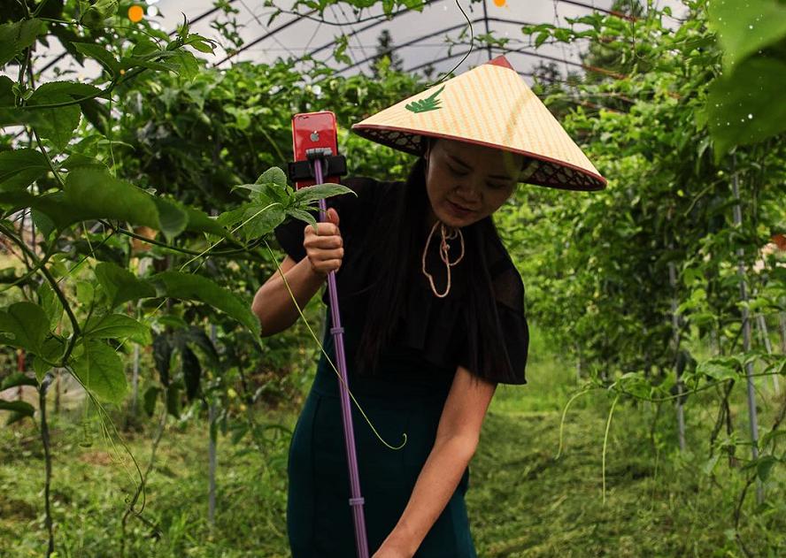 农产品电商,好质量才有好销量 农产品电商,好质量才有好销量