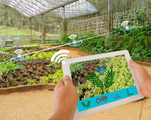 科技创新 满足日益增长的食物需求 科技创新 满足日益增长的食物需求