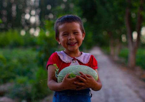 阿里巴巴助农天猫双11成绩单:农产品成交120亿 阿里巴巴助农天猫双11成绩单:农产品成交120亿