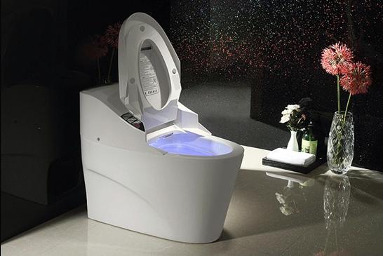 智能坐便器优点颇多，为何在中国普及率不足2%?