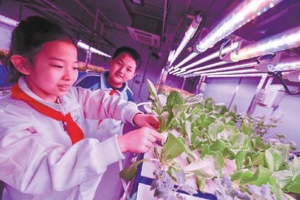 北航附小学生进“月宫”种菜 北航附小学生进“月宫”种菜