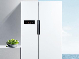 2021年能否成为冰箱行业出口向好的“拐点”? 2021年能否成为冰箱行业出口向好的“拐点”?