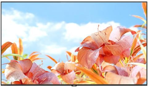 生如夏花创维首款鸣丽屏 Mini LED 电视 生如夏花创维首款鸣丽屏 Mini LED 电视