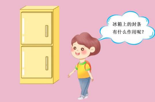 小小冰箱门封 大大科学知识