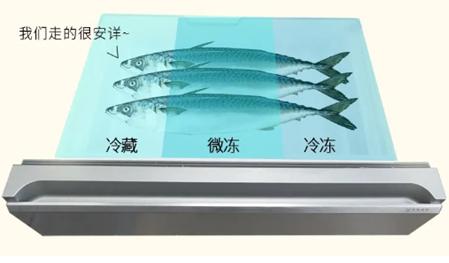 澳柯玛:谷雨到鲅鱼跳,鲅鱼这样冷藏更鲜美 澳柯玛:谷雨到鲅鱼跳,鲅鱼这样冷藏更鲜美