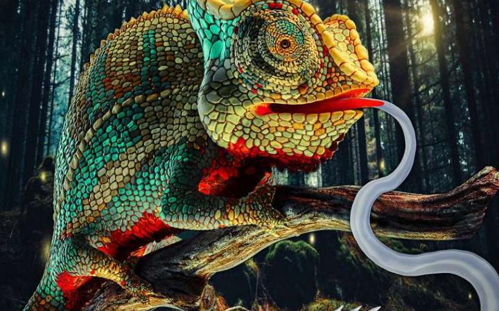 可穿戴伪装技术出现重大突破 “变色龙”软体机器人问世 可穿戴伪装技术出现重大突破 “变色龙”软体机器人问世