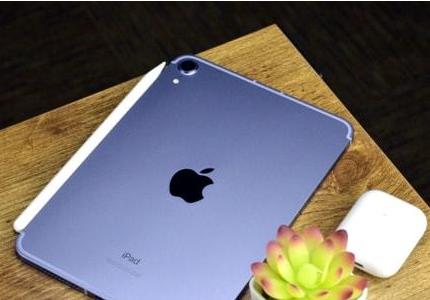 苹果iPad mini6翻车 被质疑竖屏存在“果冻屏”问题 苹果iPad mini6翻车 被质疑竖屏存在“果冻屏”问题