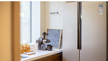 冰箱不是“保险箱”,吃剩饭剩菜千万要当心 冰箱不是“保险箱”,吃剩饭剩菜千万要当心