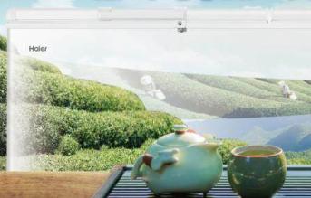 海尔冷柜打造“春茶柜”制定行业标准 海尔冷柜打造“春茶柜”制定行业标准