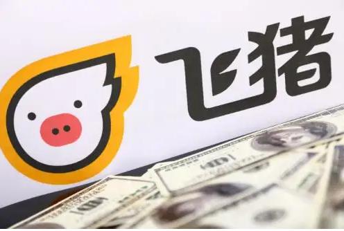 飞猪启动组织改革 为未来独立面对市场做准备