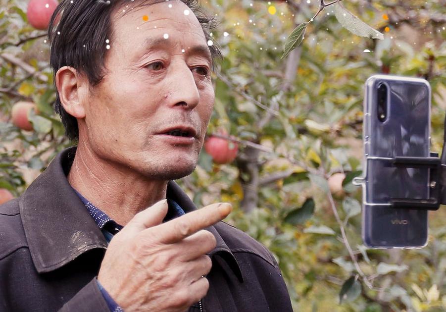 短视频助农打开“云”上销路 短视频助农打开“云”上销路