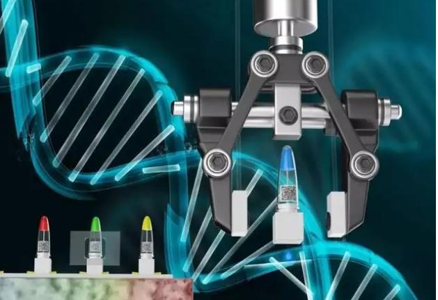 中科院在连续体机器人形状感知研究方面取得进展 中科院在连续体机器人形状感知研究方面取得进展