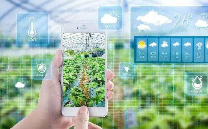 乡村振兴这一年:数字经济打通农产品供需信息天堑 乡村振兴这一年:数字经济打通农产品供需信息天堑