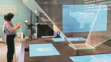 用数字科技“触摸”西汉青铜犀尊