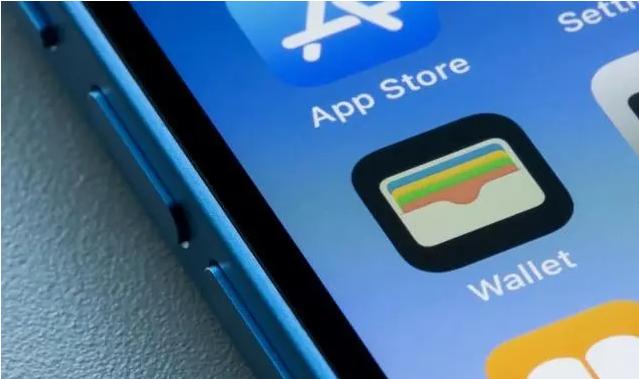 iOS17照片应用可识别宠物 iOS17照片应用可识别宠物