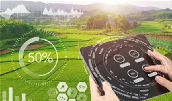 拓展数字农业增值增效空间 拓展数字农业增值增效空间