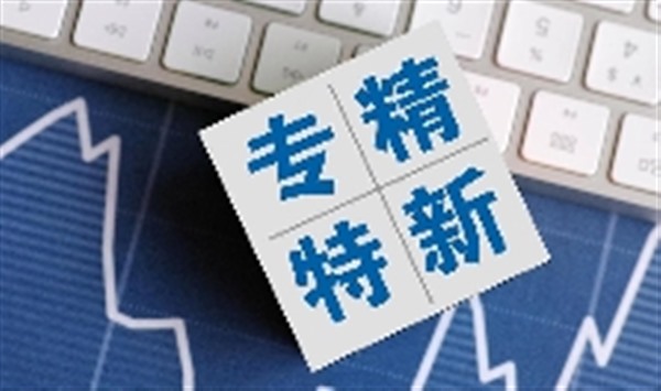 加快发展数字化专精特新企业 拥抱数字化转型 加快发展数字化专精特新企业 拥抱数字化转型