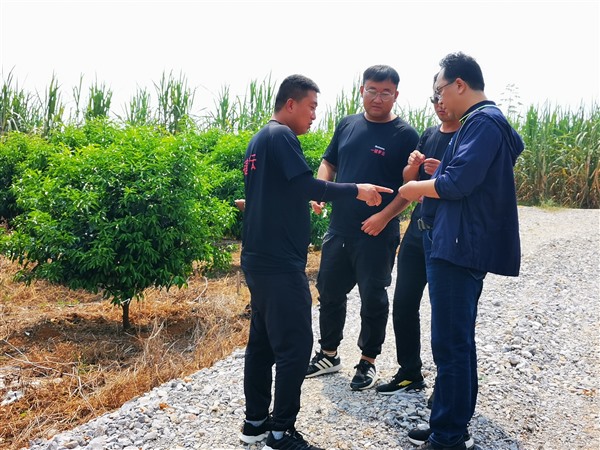 张刚：低空时代悄然来临，低空数字交通蓄势待发