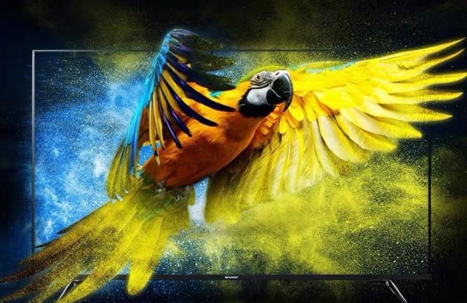 第十二次组织开展的电视行业用户满意度监测结果公布