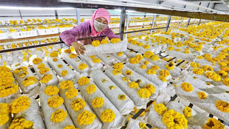 村庄里建起了智慧微工厂 村庄里建起了智慧微工厂