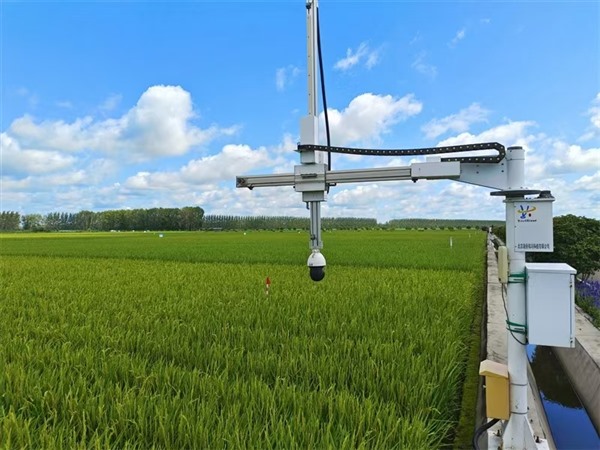 田间“把脉” 垄上“读心”——大地上的智慧“魔法” 田间“把脉” 垄上“读心”——大地上的智慧“魔法”