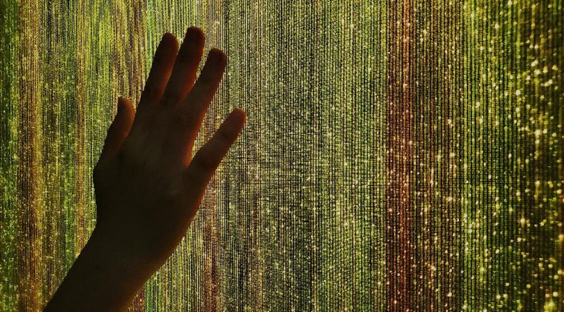 嫦娥生物股份10种太空菌种是几个意思? ——刘智教授谈“太空菌种” 嫦娥生物股份10种太空菌种是几个意思? ——刘智教授谈“太空菌种”