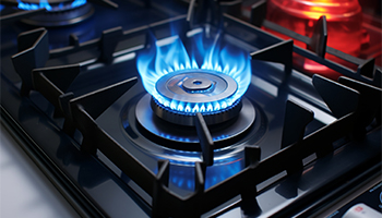 河北省市场监督管理局发布家用燃气灶等产品质量监督抽查结果 河北省市场监督管理局发布家用燃气灶等产品质量监督抽查结果