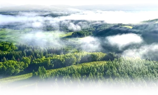 维谛技术携手中金数据开启制冷科技的革新之旅 维谛技术携手中金数据开启制冷科技的革新之旅