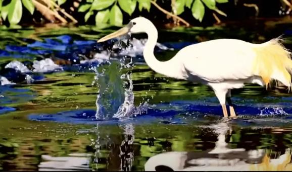 OpenAI正式发布Sora，一文看懂它的文生视频功能到底强在哪？