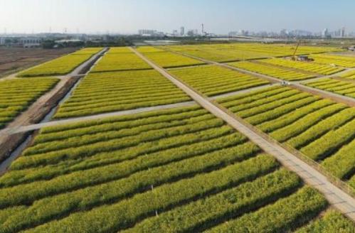 保障食品安全要靠科技 专家:区块链、大数据用起来 保障食品安全要靠科技 专家:区块链、大数据用起来
