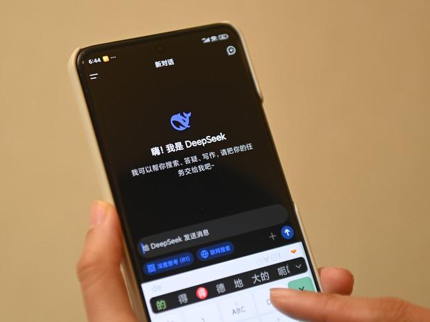 DeepSeek搅动寒假作业，基础教育与AI如何磨合？