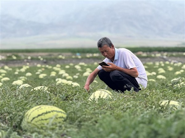 枸杞硒砂瓜遇容声黑科技 这场中卫“寻鲜之约”甜到心坎里 枸杞硒砂瓜遇容声黑科技 这场中卫“寻鲜之约”甜到心坎里