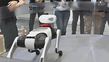 Vbot机器狗热销破纪录 消费级具身智能迎来规模化拐点