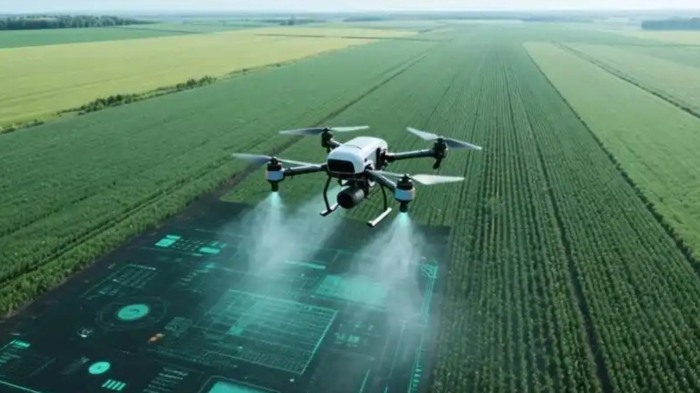 为低空经济发展定规矩、指航向